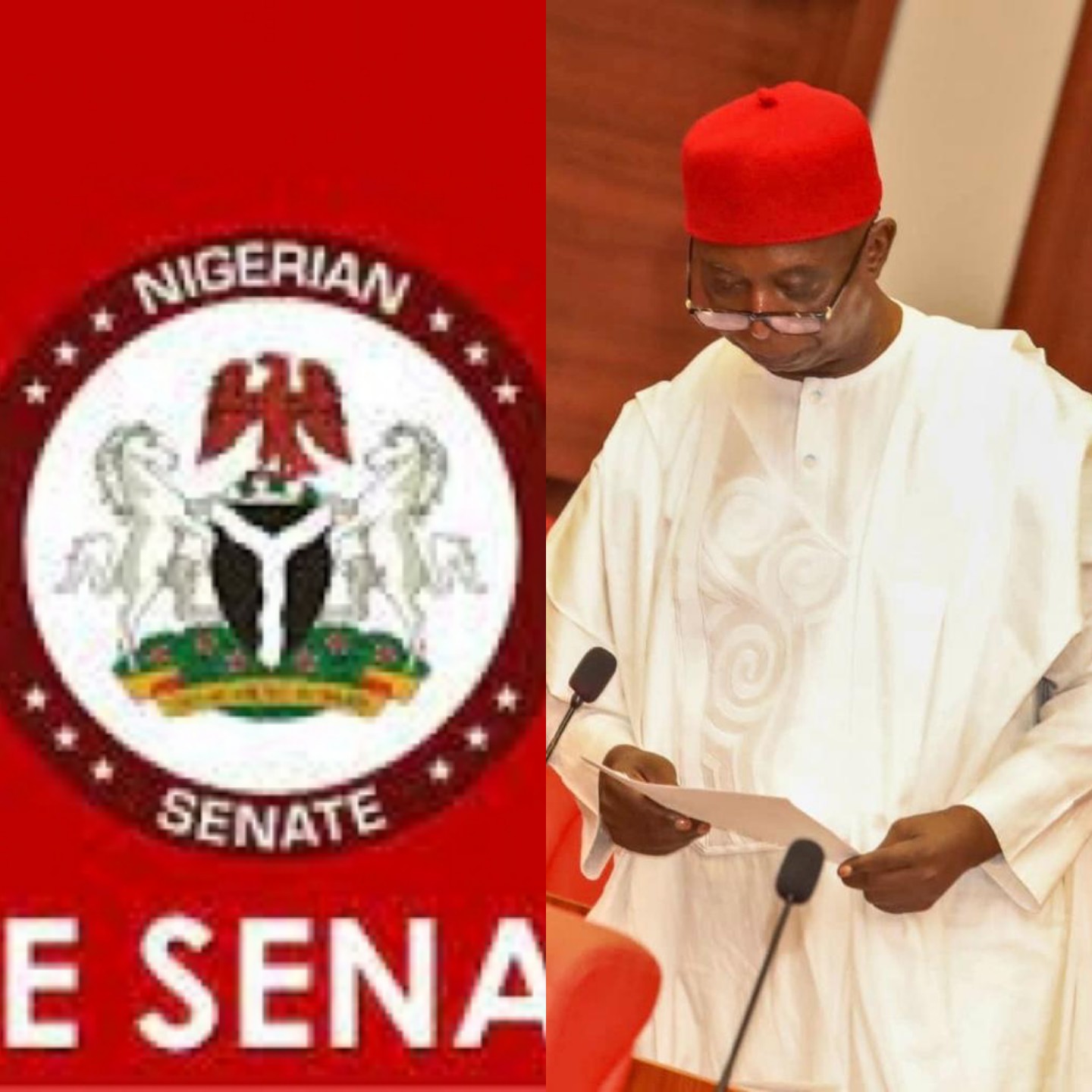 Nigerian Senate Honors Asagba Of Asaba As Senator Ned Nwoko Leads Tribute